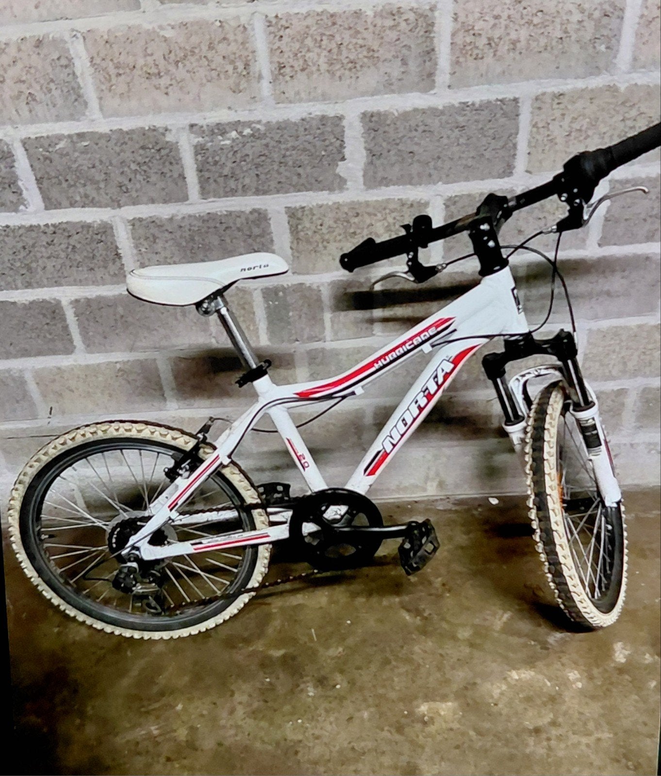 Norta moutenbike wit, Enlèvement