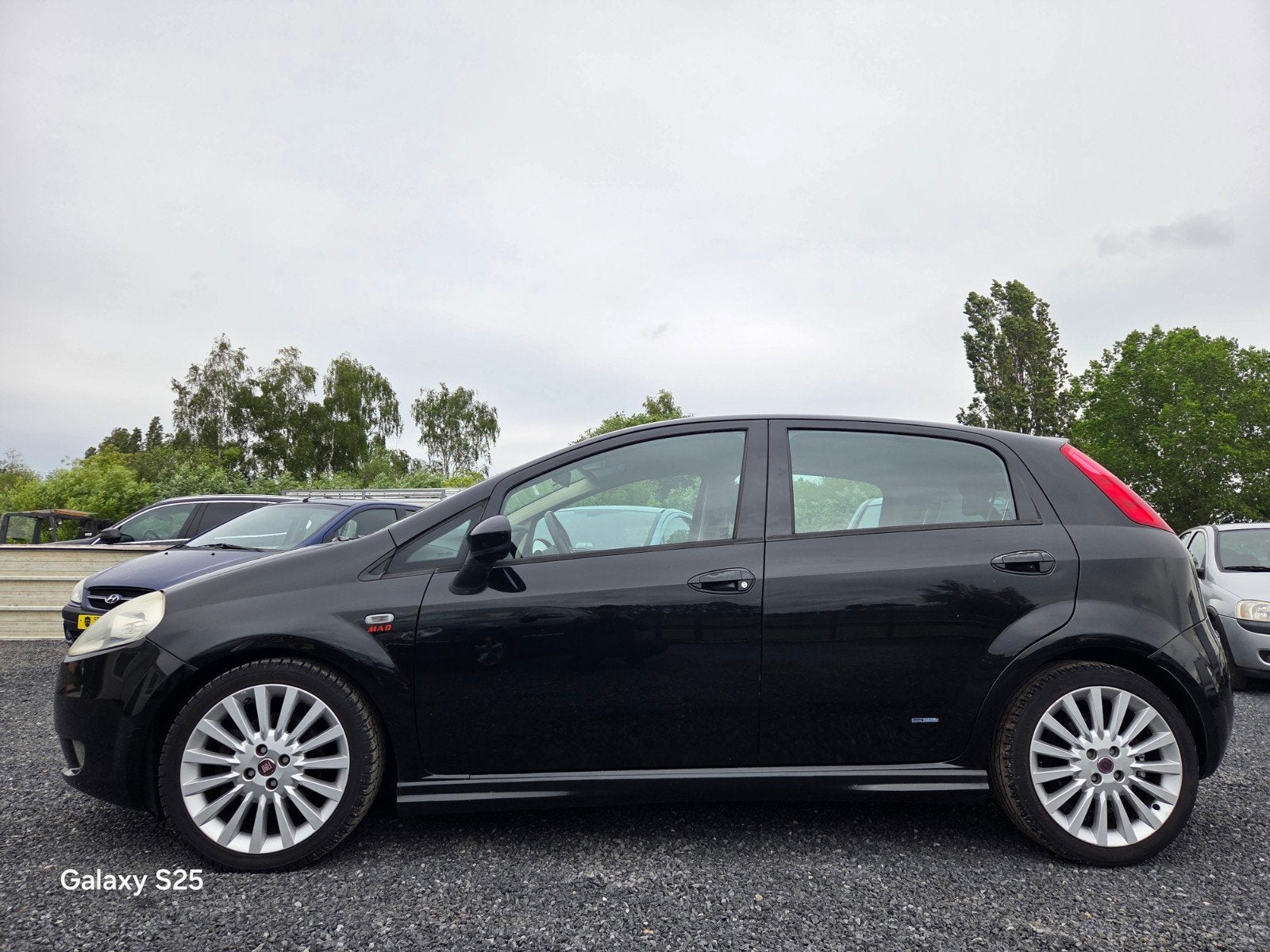 Fiat Punto, Achat, Entreprise, Boîte manuelle, Bleu