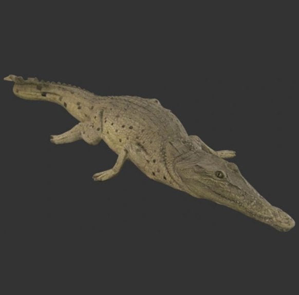 Crocodile Resting – Krokodil beeld Lengte 131 cm, Ophalen, Nieuw