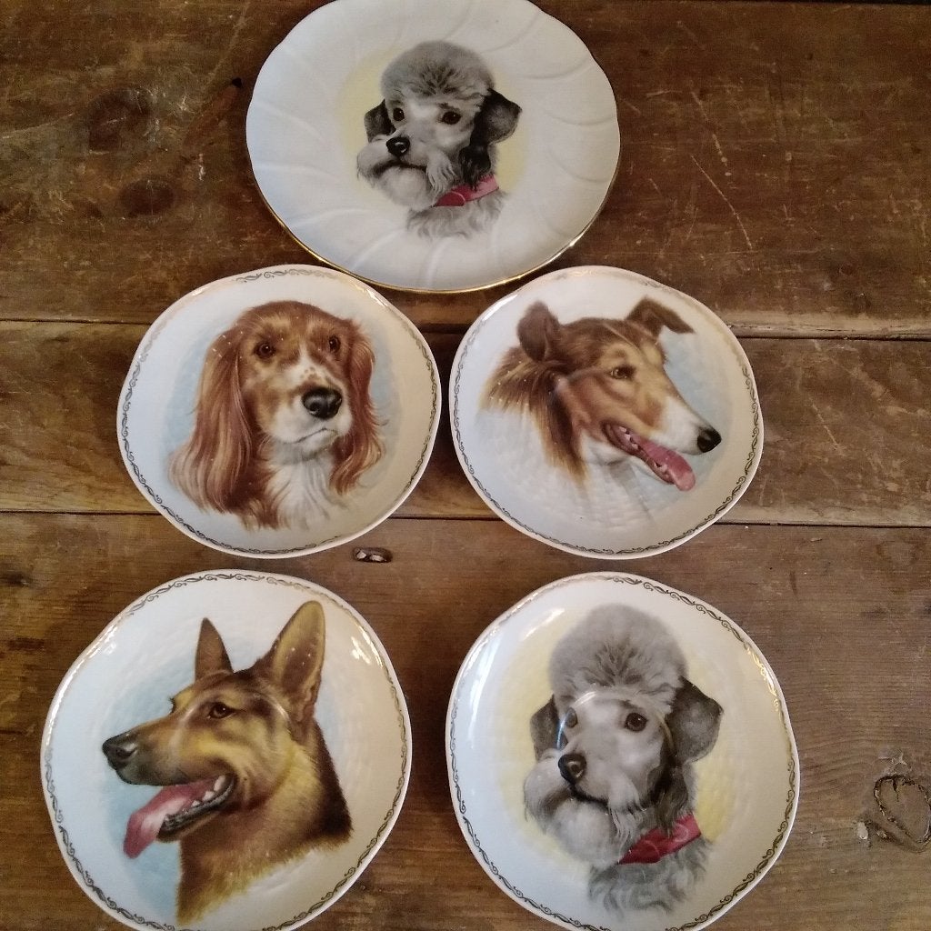 Unieke verzameling Limoges bordjes honden, Ophalen of Verzenden