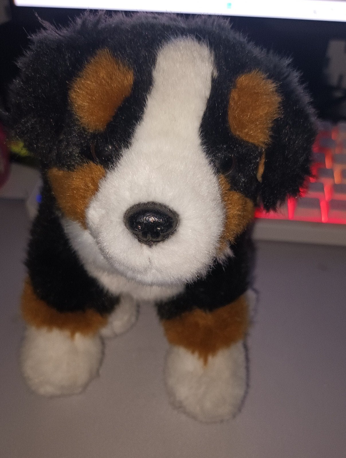peluche chien, Enlèvement