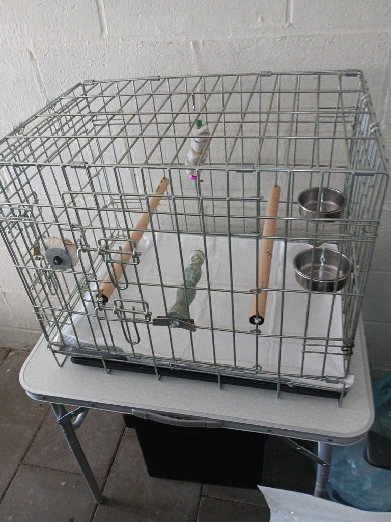 Transportkooi voor papegaai, kat of hond om mee te nemen, Ophalen
