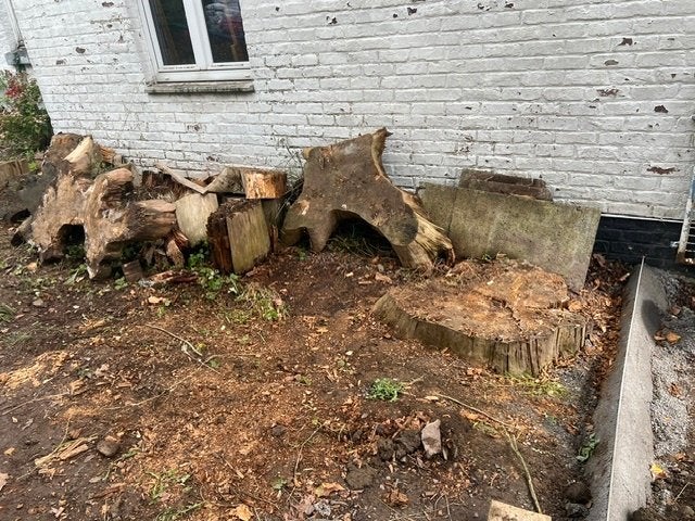 bois de chauffage à donner, Jardin & Terrasse, 3 à 6 m³, Enlèvement, Autres essences de bois, Troncs d'arbres
