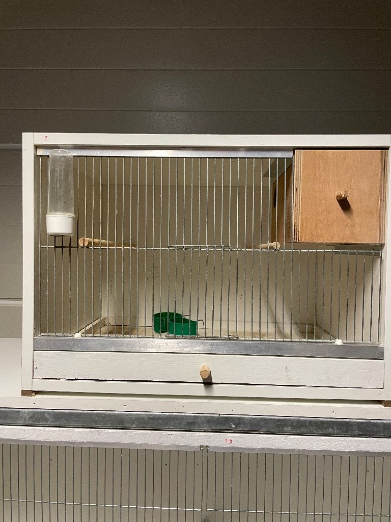 Vogelkooi, Enlèvement, Cage à oiseaux