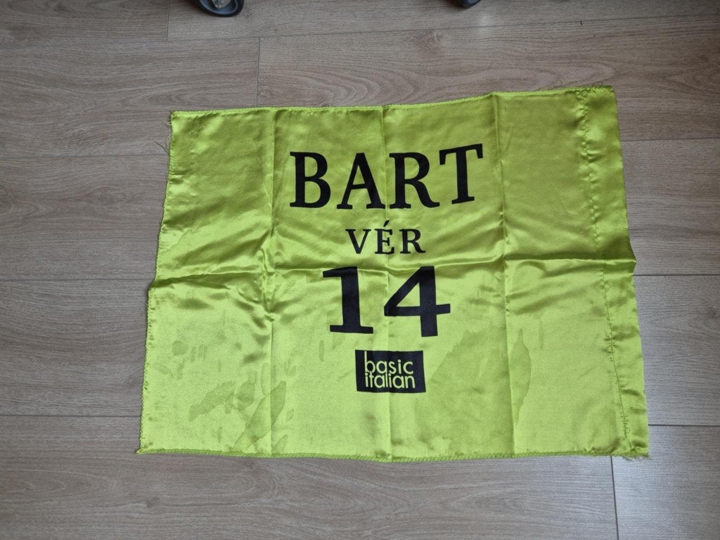 Carnaval Aalst vlag kandidaat prins Bart 2014, Diversen, Ophalen of Verzenden