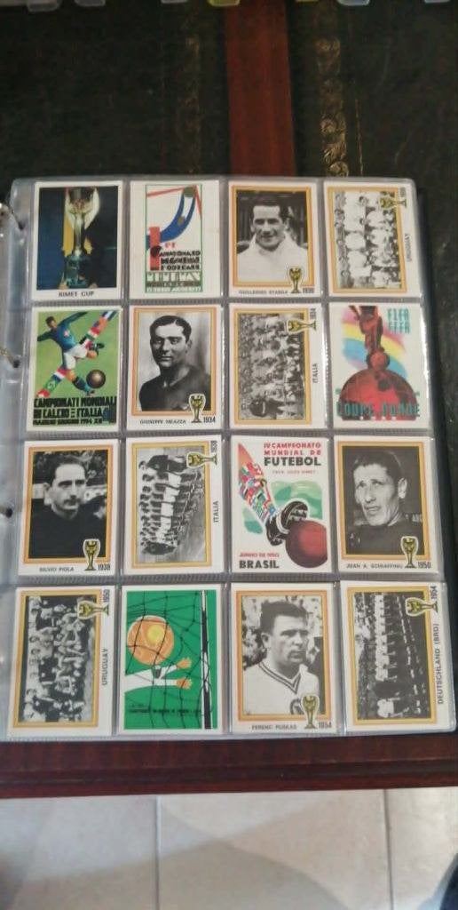 Panini WK 78 Argenintië, Ophalen of Verzenden
