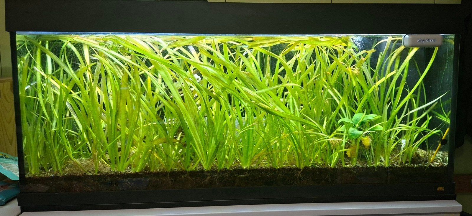 Aquarium 120cm, Ophalen