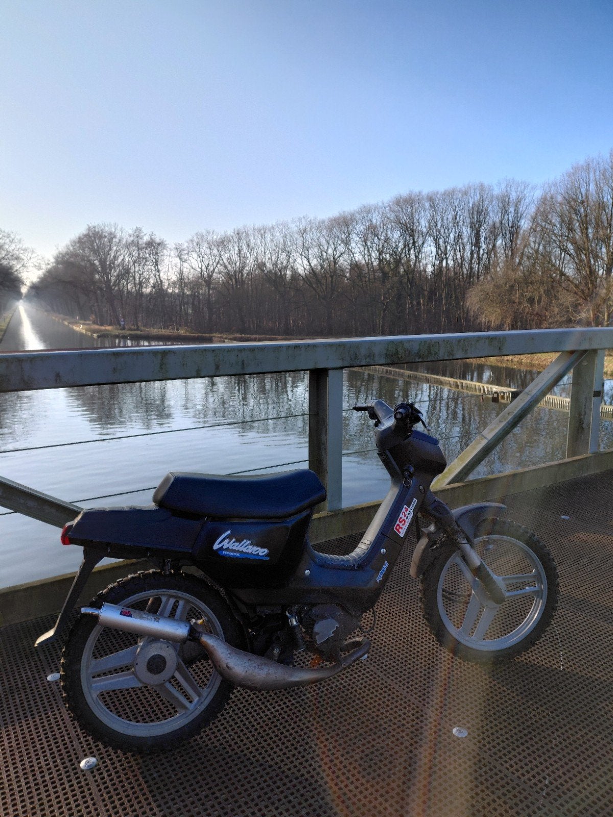 Honda wallaroo, Fietsen en Brommers, Brommers | Tomos, Nieuw, Standard, Klasse A (25 km/u), Ophalen