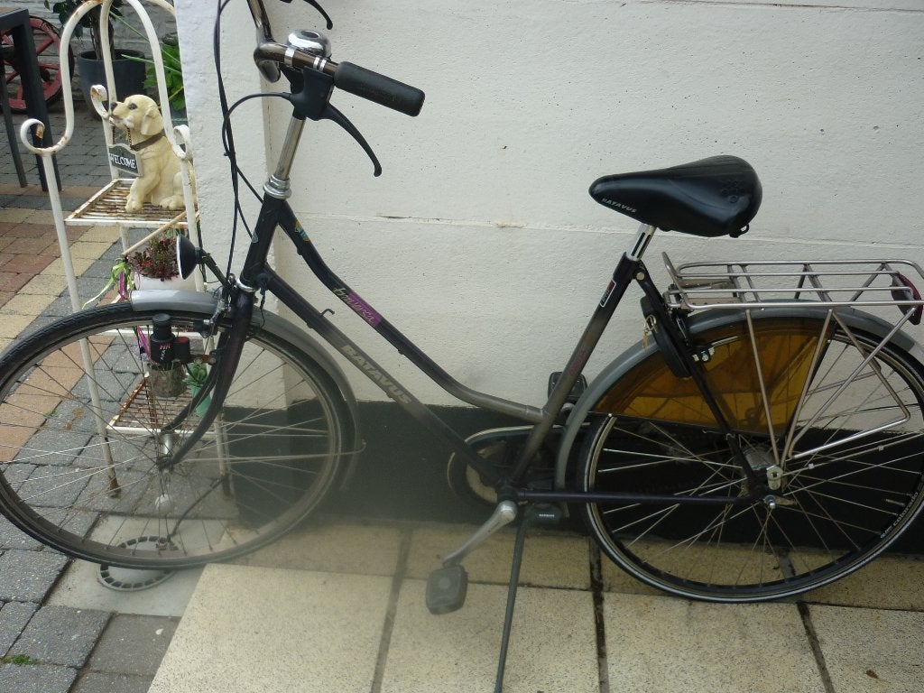 fietsen  voor groot en klein, Enlèvement, Utilisé, Femmes