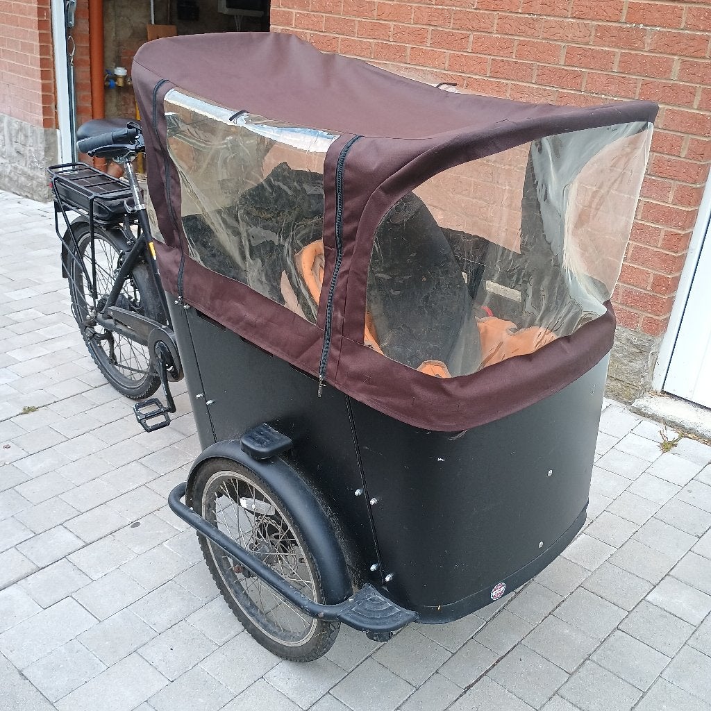 Vélo électrique cargo tricycle, Vélos & Vélomoteurs, Autres marques, Électrique, Enlèvement, Utilisé