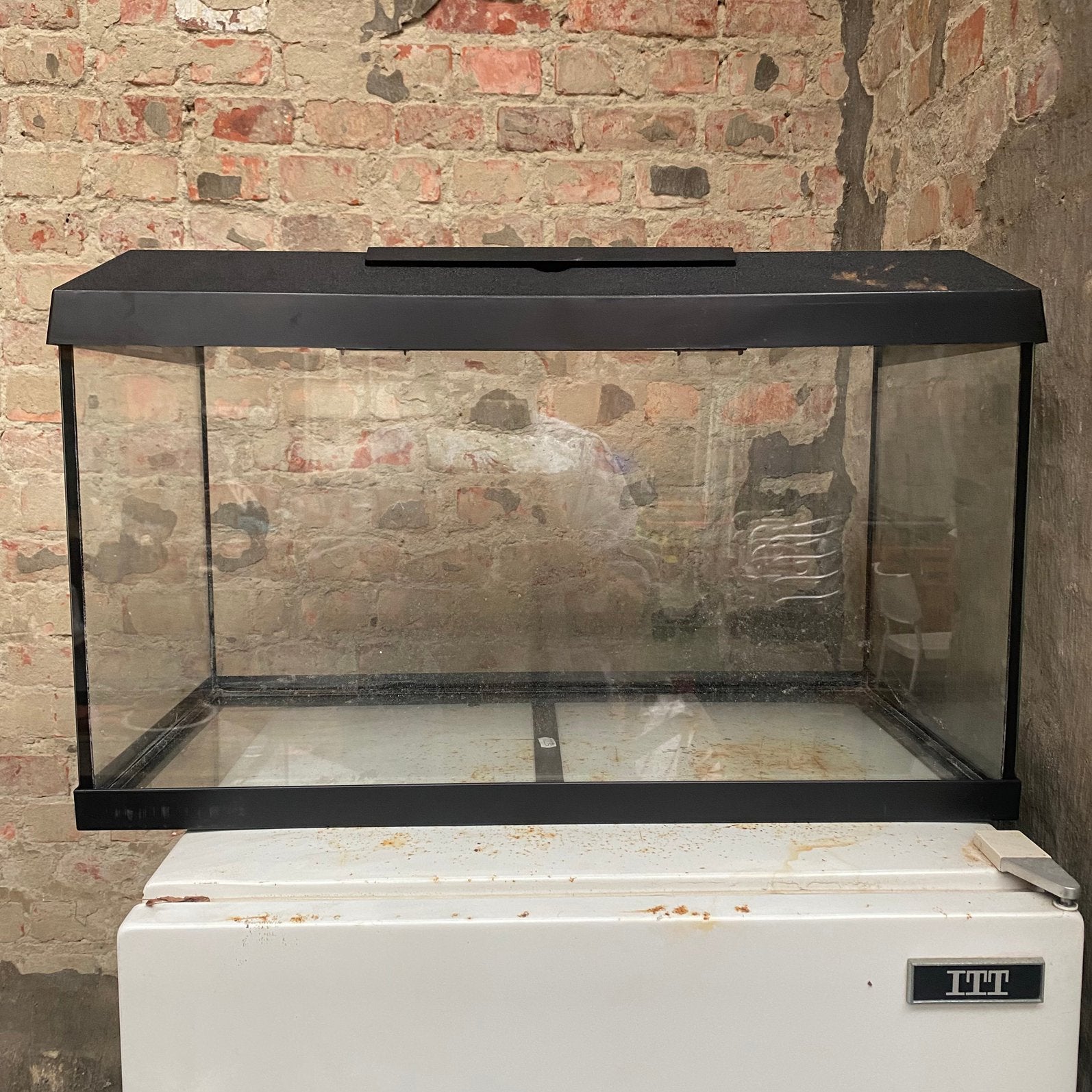 Aquarium juwel, Ophalen, Juwel