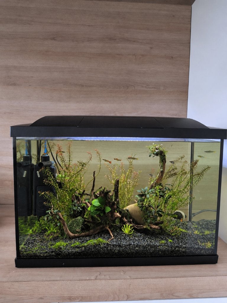 Compleet aquarium (60L), Ophalen, Superfish