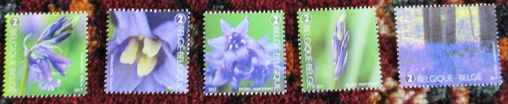 5 x nummer 2 boshyacinten, Frankeerzegel, Ophalen of Verzenden, Zonder stempel, Postfris