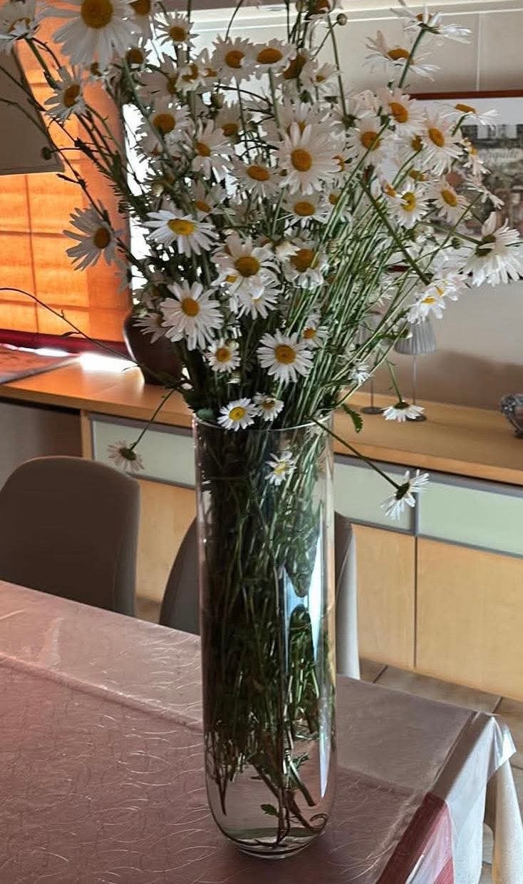 Grote vaas 50 cm hoogte, Ophalen of Verzenden, Zo goed als nieuw