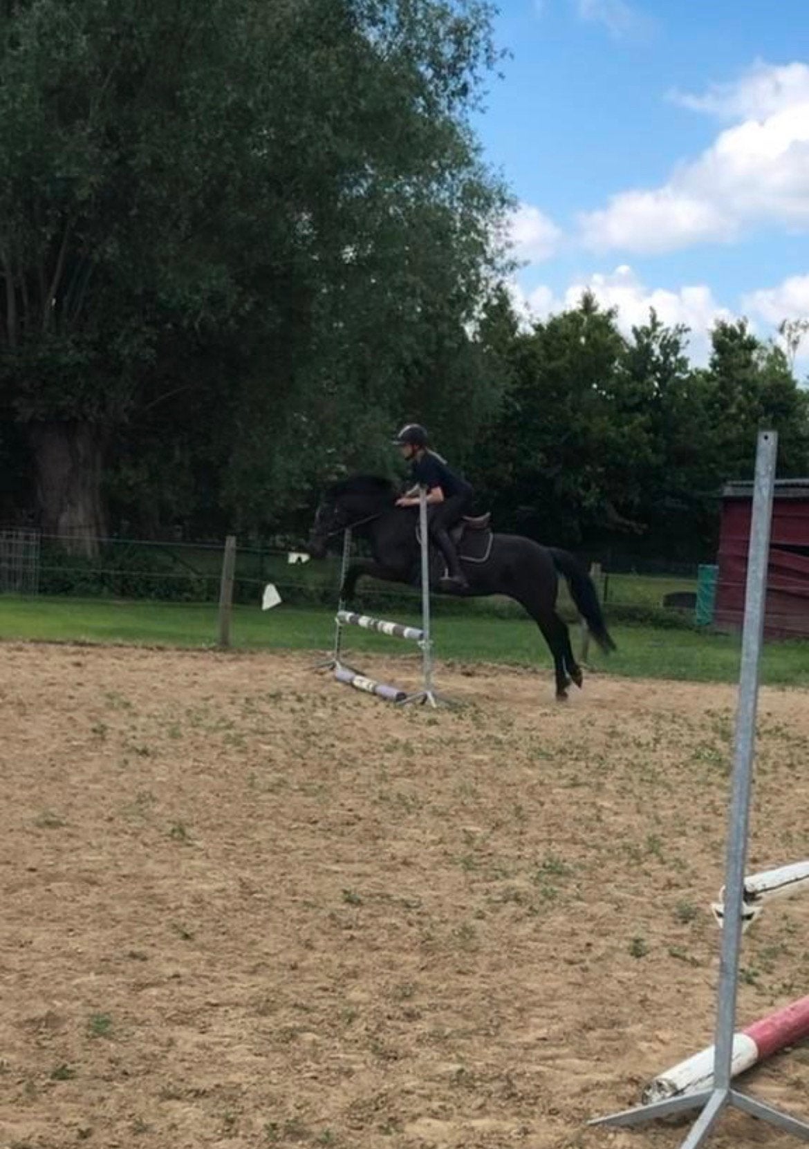 Allround c-pony te koop, B, C pony (1.27m tot 1.37m), 11 jaar of ouder, Recreatiepony