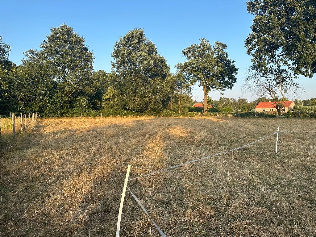 Hooi - zelf te maaien