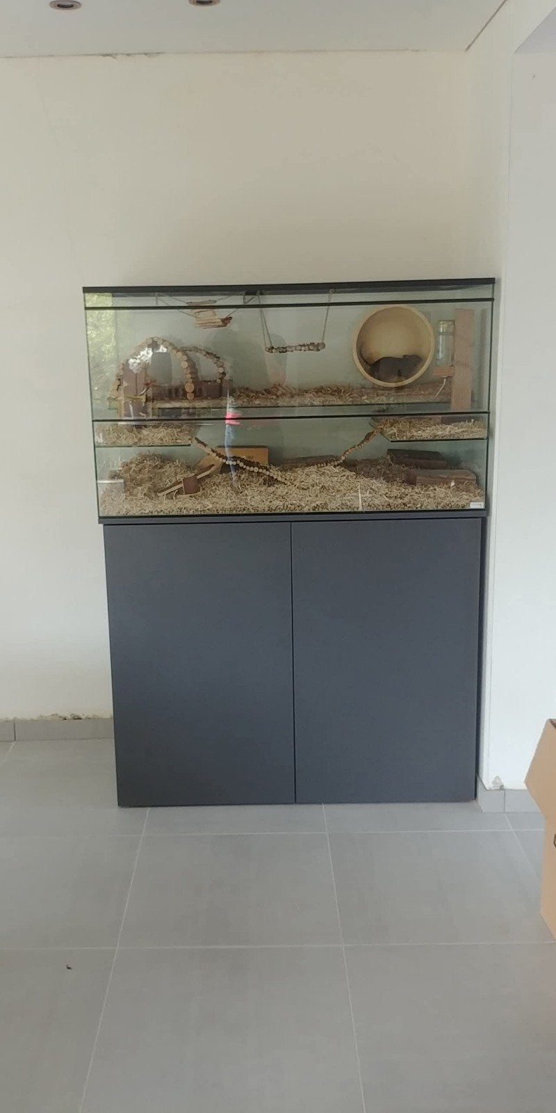 Terrarium knaagdieren (met of zonder op maat gemaakte kast), Animaux & Accessoires, Reptiles & Amphibiens | Accessoires, Enlèvement