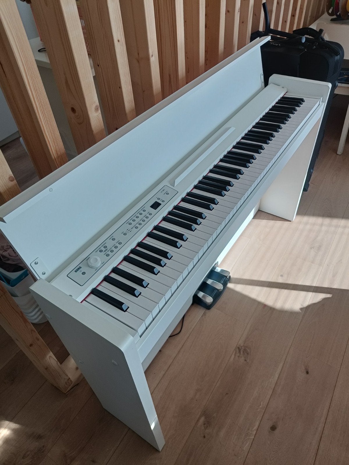 Korg LP380, Muziek en Instrumenten, Ophalen