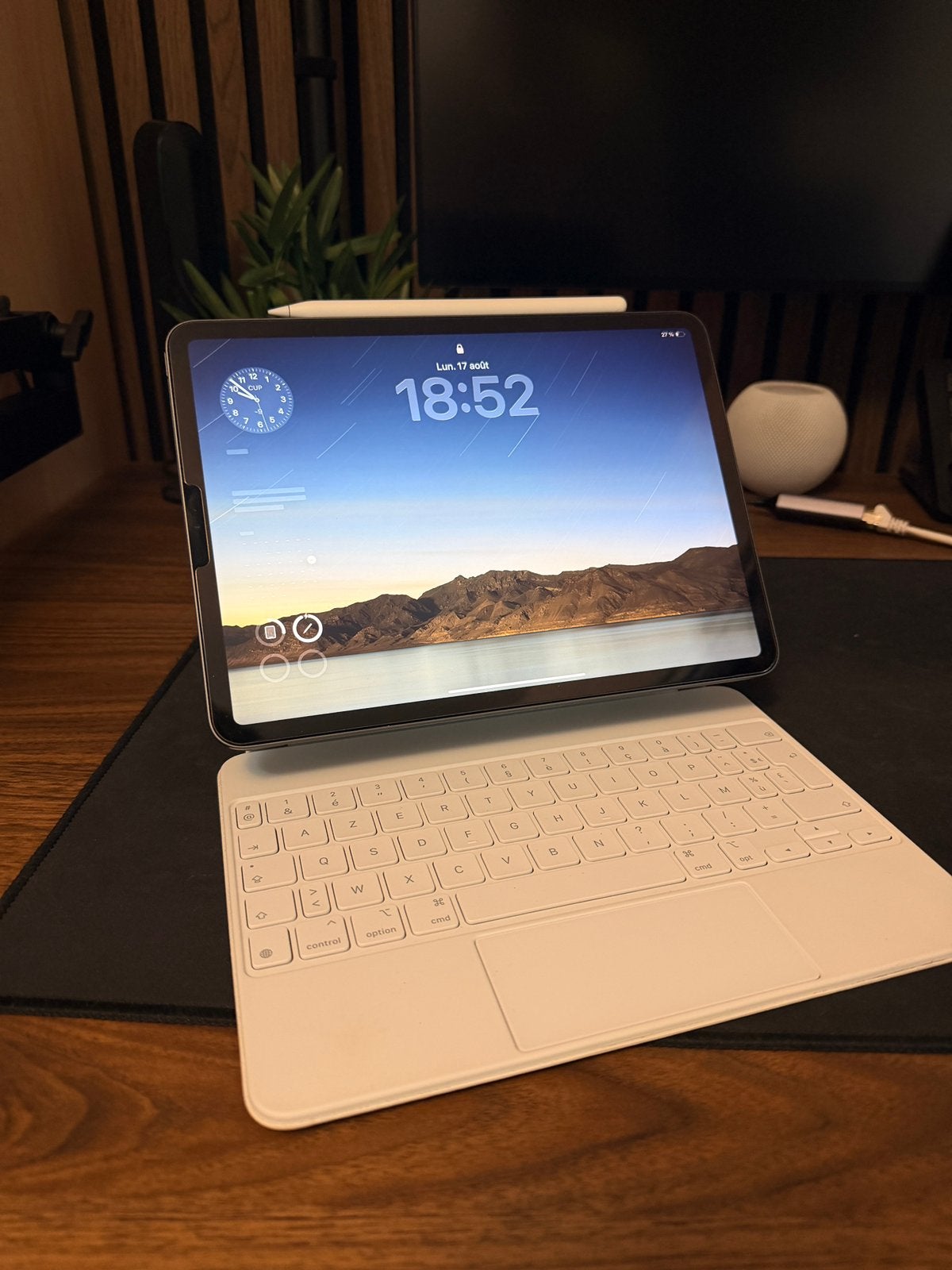 Ipad Pro 11’ 2e Génération, Computers en Software, Apple iPads, Ophalen, Zwart, 11 inch, Zo goed als nieuw