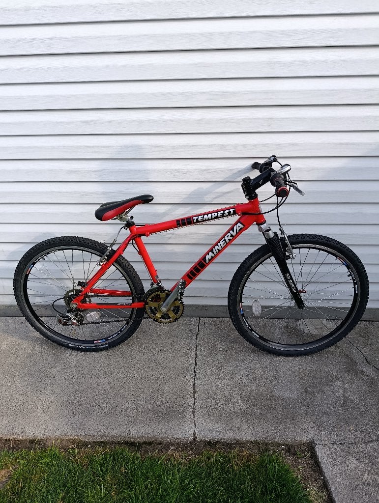 Mountainbike Minerva, Fietsen en Brommers, Fietsen | Mountainbikes en ATB, Ophalen, Zo goed als nieuw, Heren, Overige merken