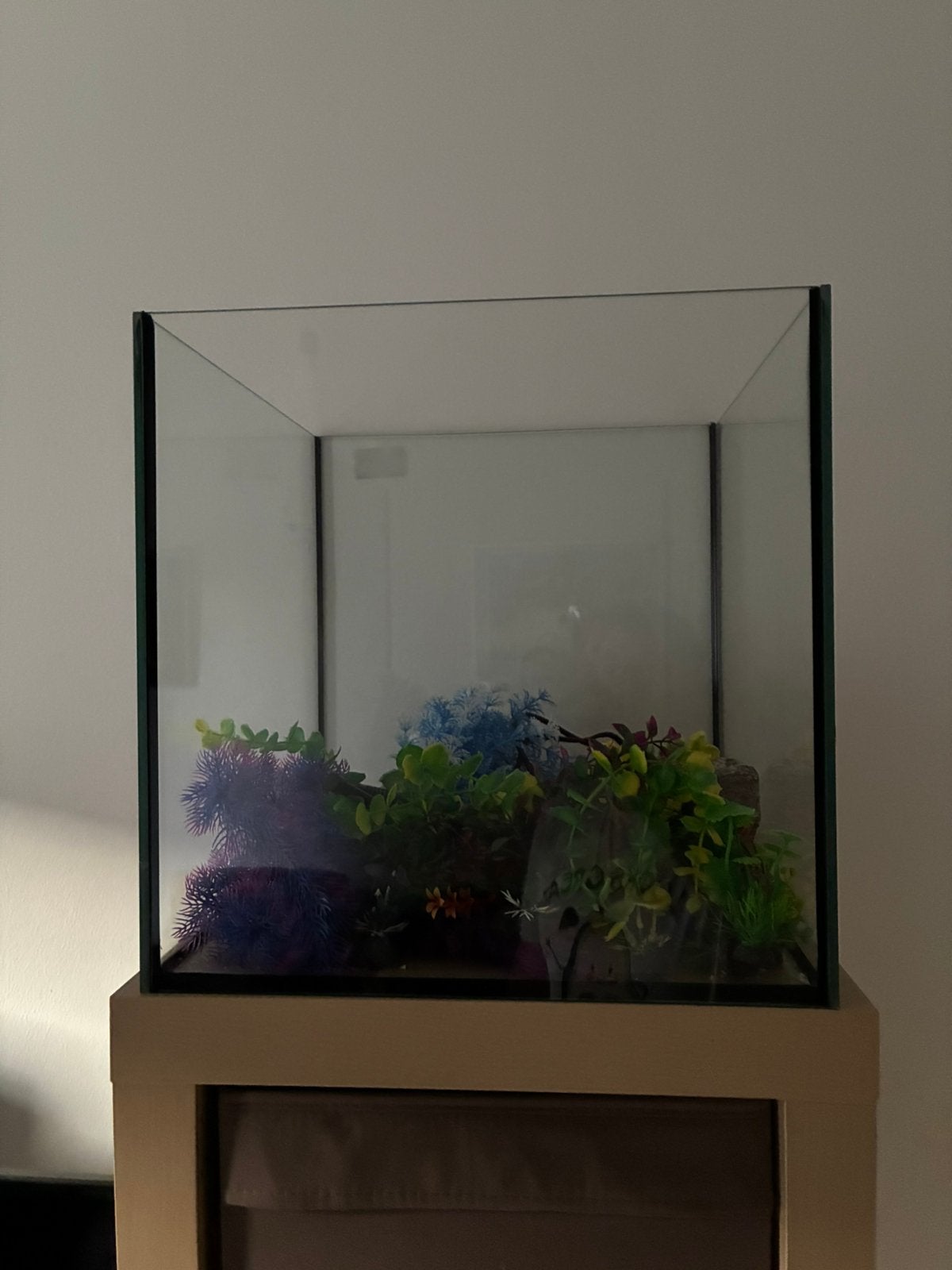 40x40 vis aquarium, Dieren en Toebehoren, Ophalen, Zo goed als nieuw, Filter