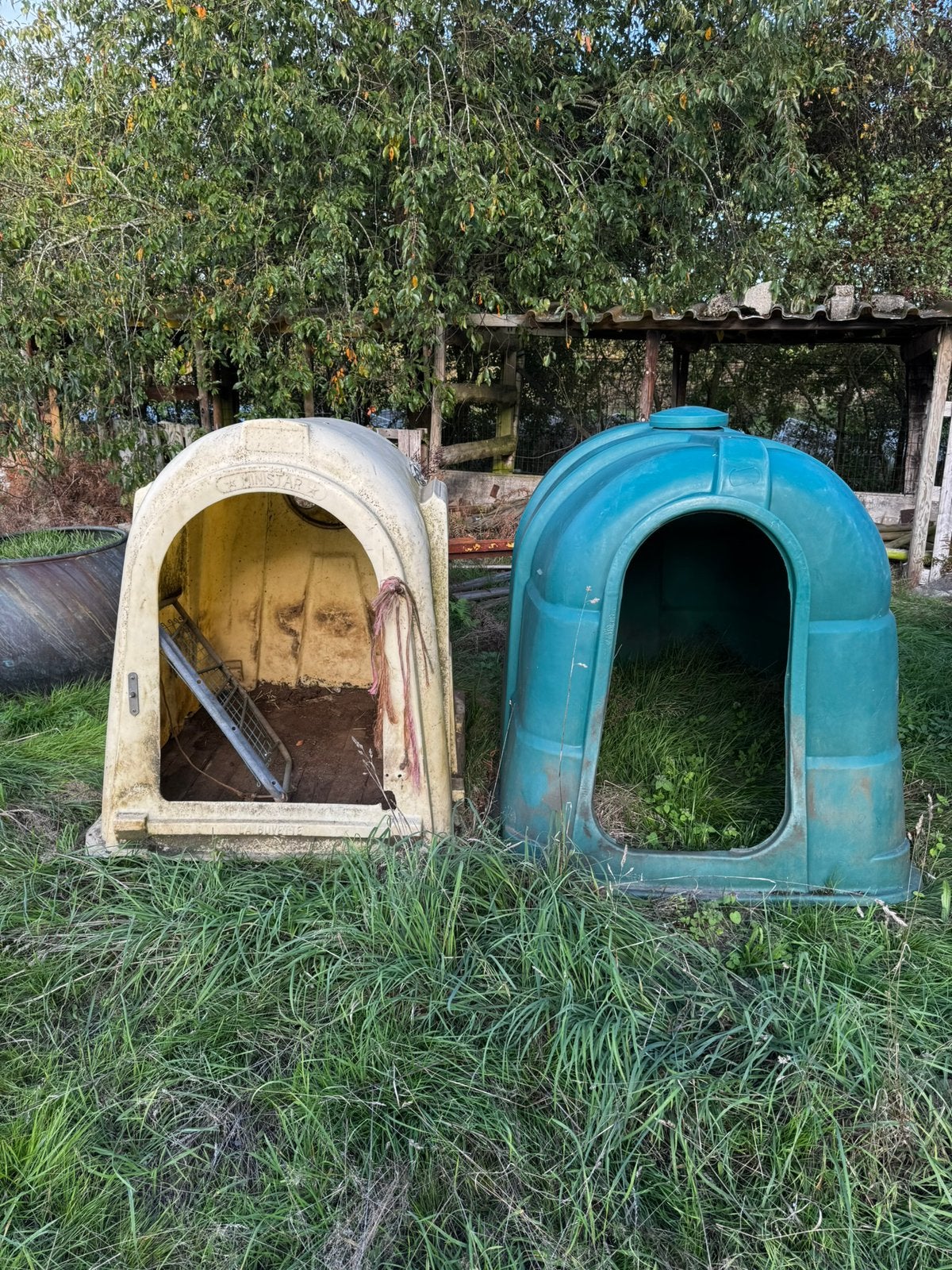Kalverhut - iglo te koop, Dieren en Toebehoren