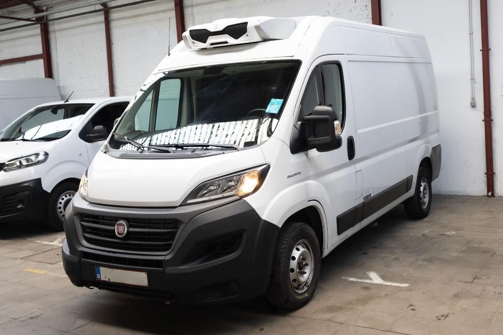 FRIGO 2022 Fiat Ducato L2H2 ZANOTTI Feuille Rose C-onderhoud, 4 deurs, Stof, 2287 cc, Wit