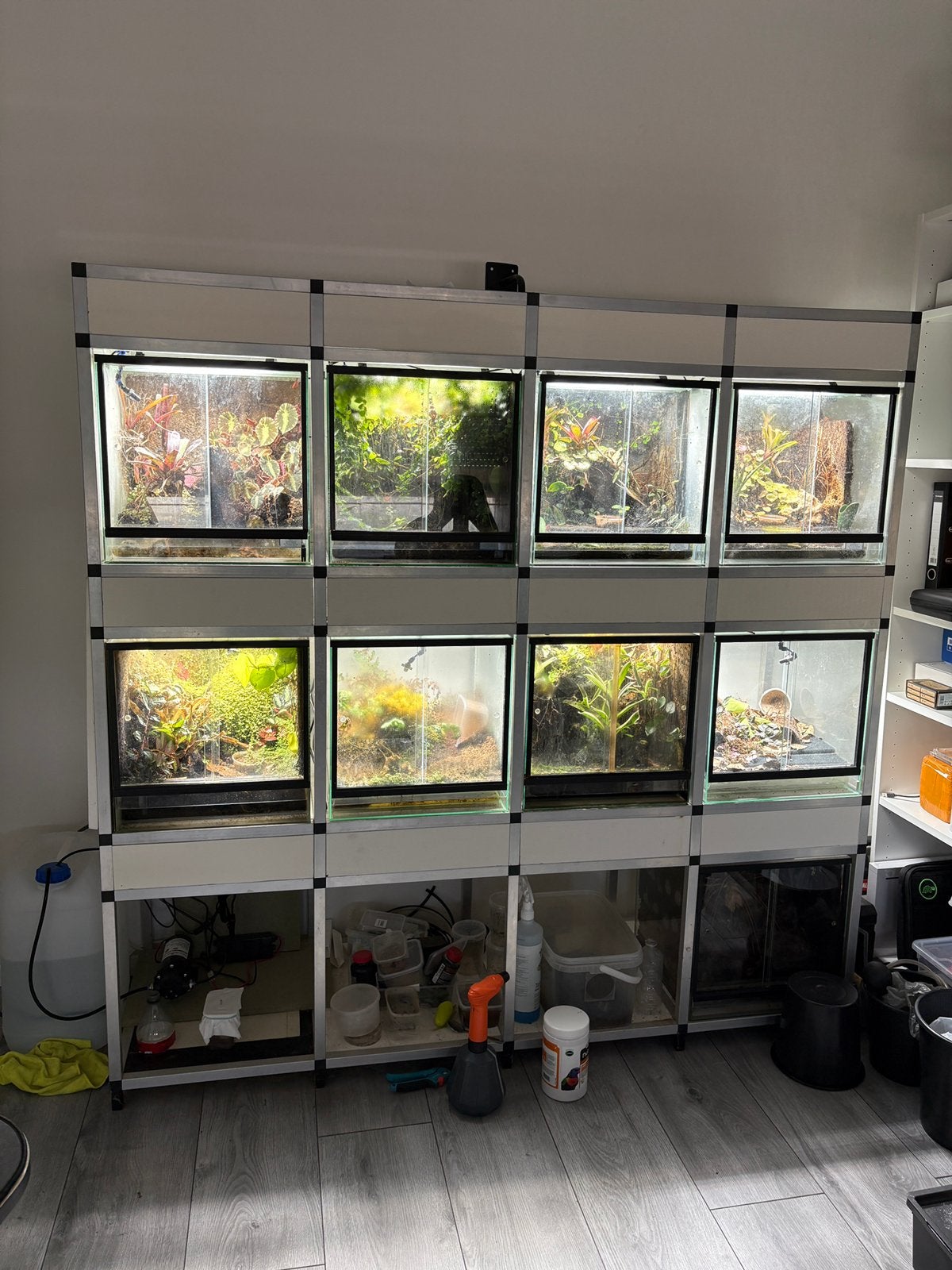 Terrarium stelling gifkikkers, Dieren en Toebehoren, Ophalen, Zo goed als nieuw, Terrarium of Paludarium