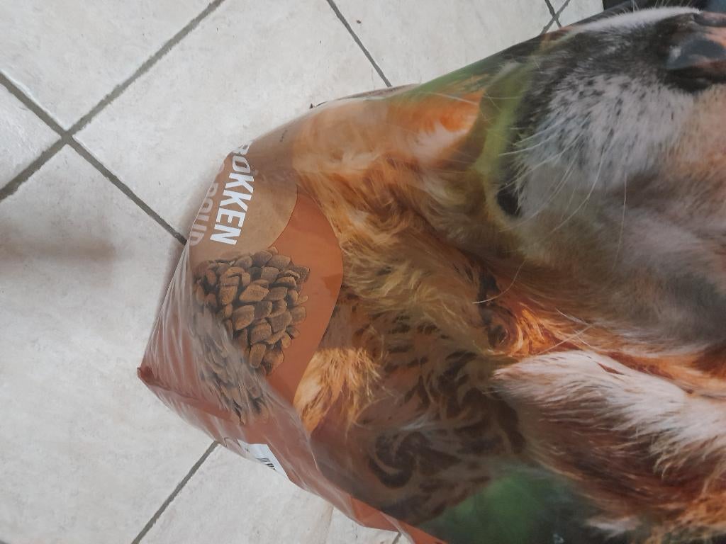Hondenbrokken, Dieren en Toebehoren, Ophalen, Hond