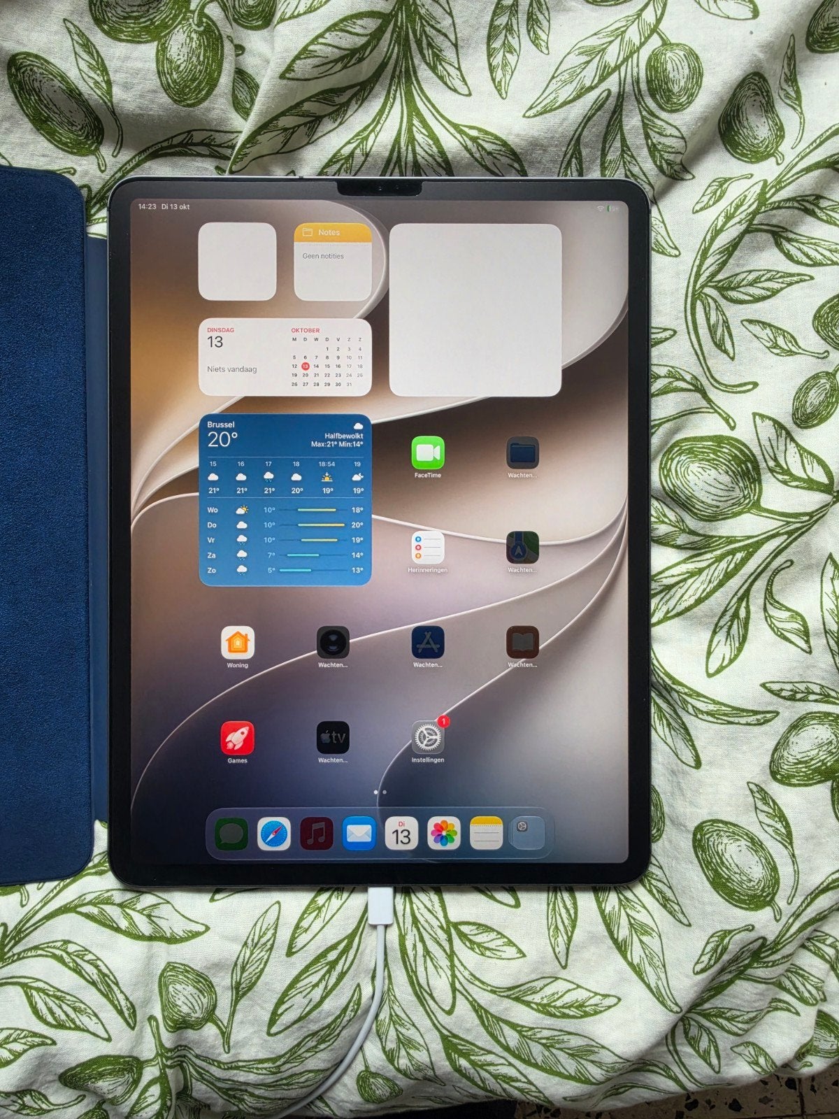 iPad Pro 12 inch 1 TB, Informatique & Logiciels, Enlèvement, 12 pouces, 1 TB