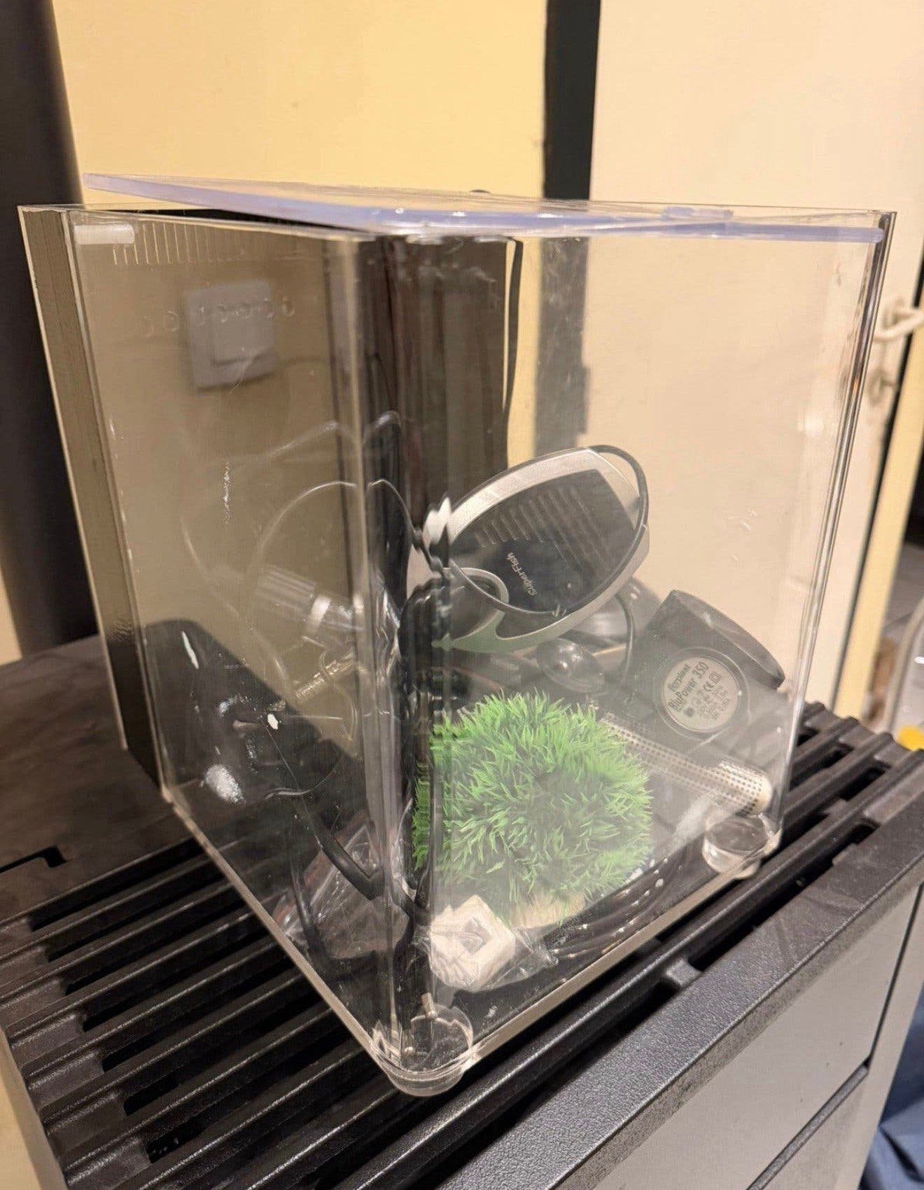 Aquarium, Enlèvement, Utilisé, Terrarium ou Paludarium