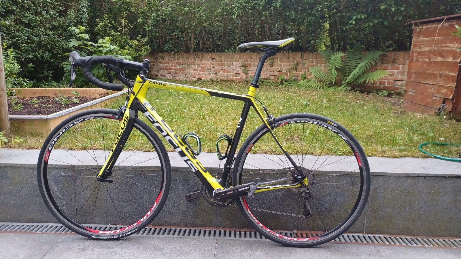 Focus cayo, Vélos & Vélomoteurs, Vélos | Hommes | Vélos de sport & Vélo de randonnée