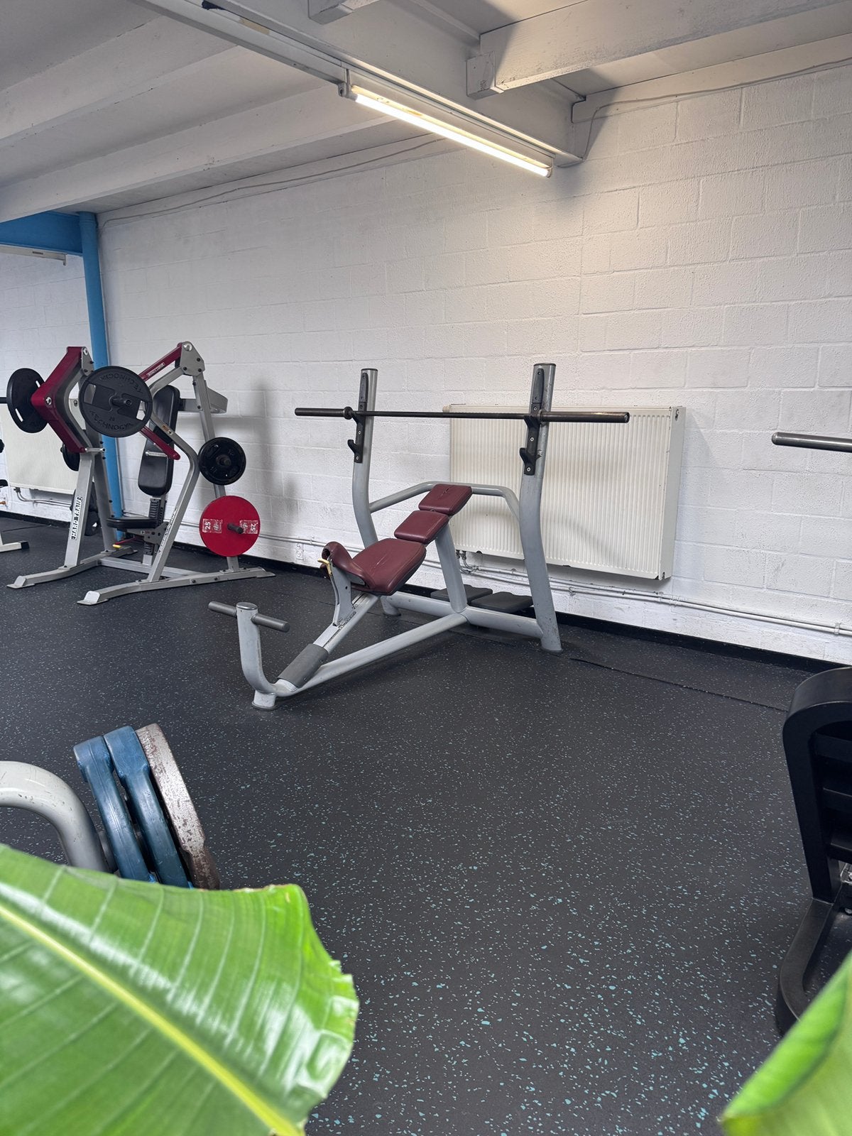 Technogym incline bench, Ophalen, Gebruikt