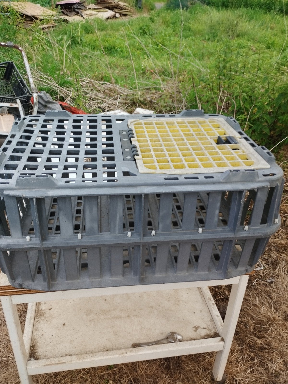 cage de transport des poules
