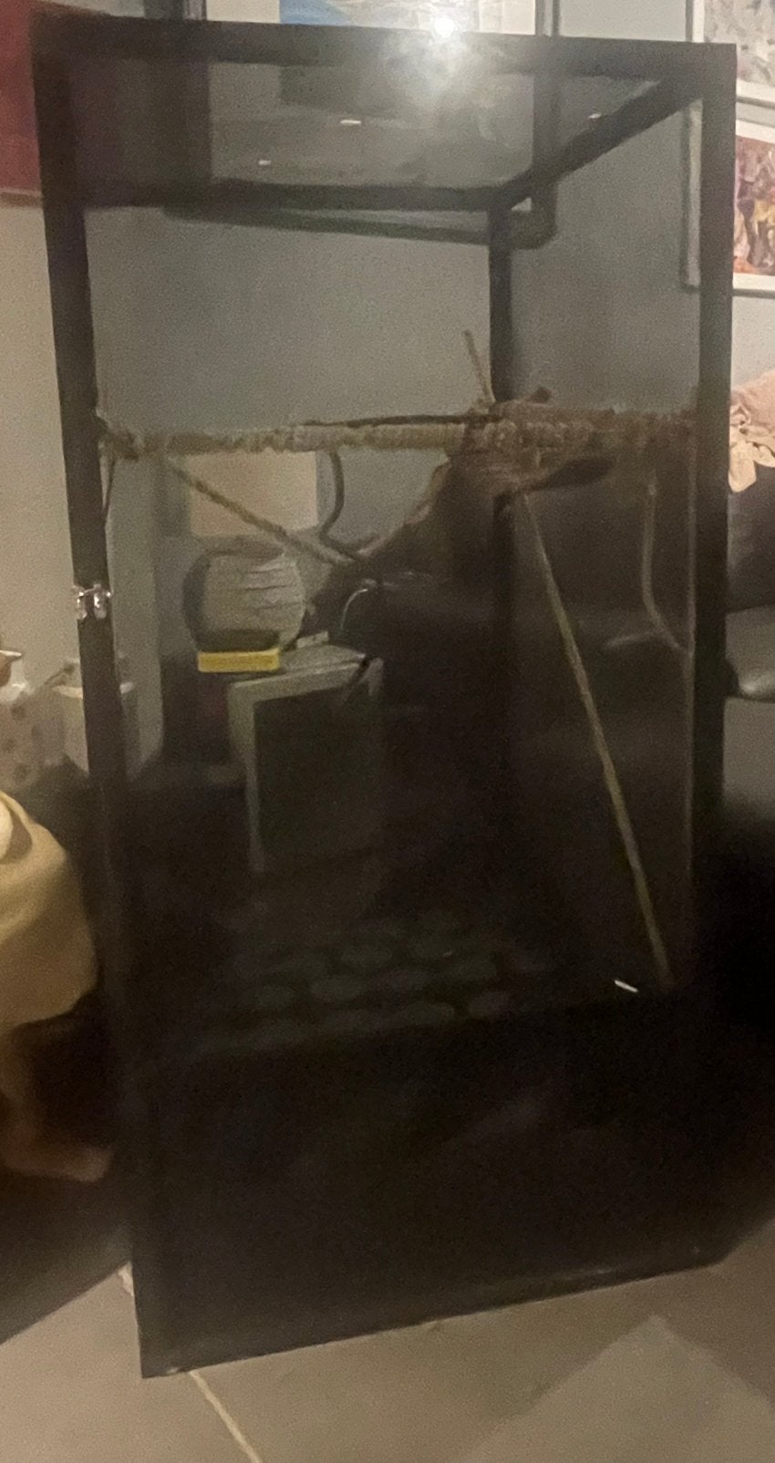 Flexarium 120x60x60, Ophalen, Gebruikt, Terrarium of Paludarium