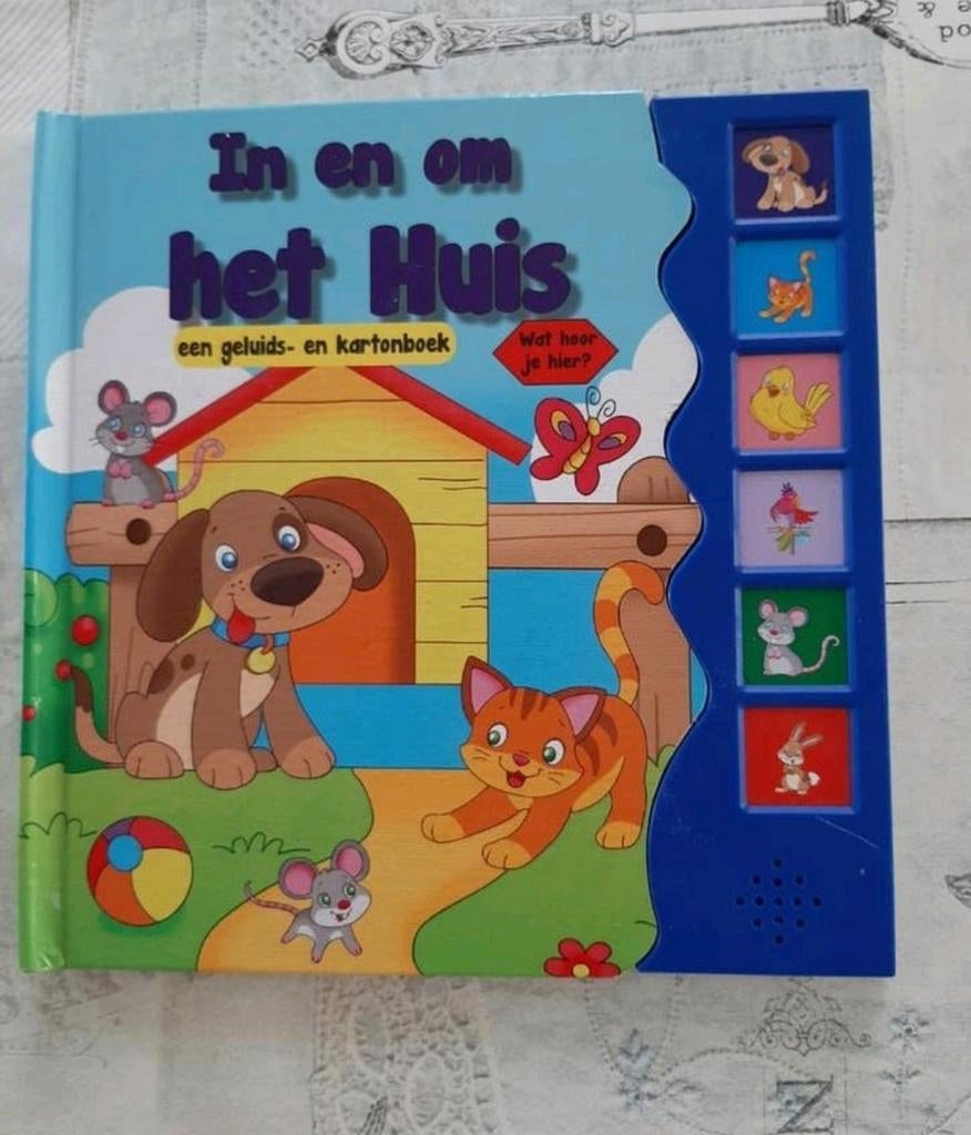 Kartonnen Kinderboek met geluiden : in en uit het huis, Ophalen of Verzenden