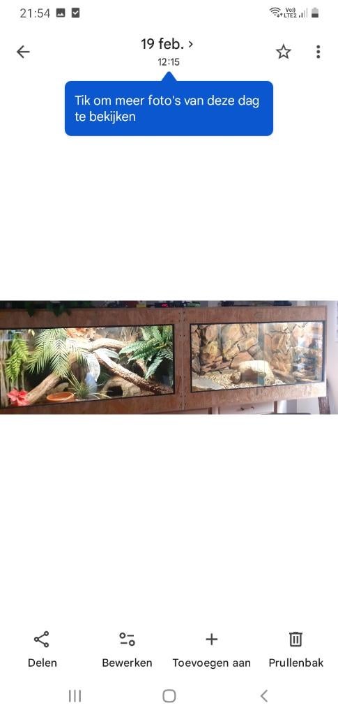 Terrarium