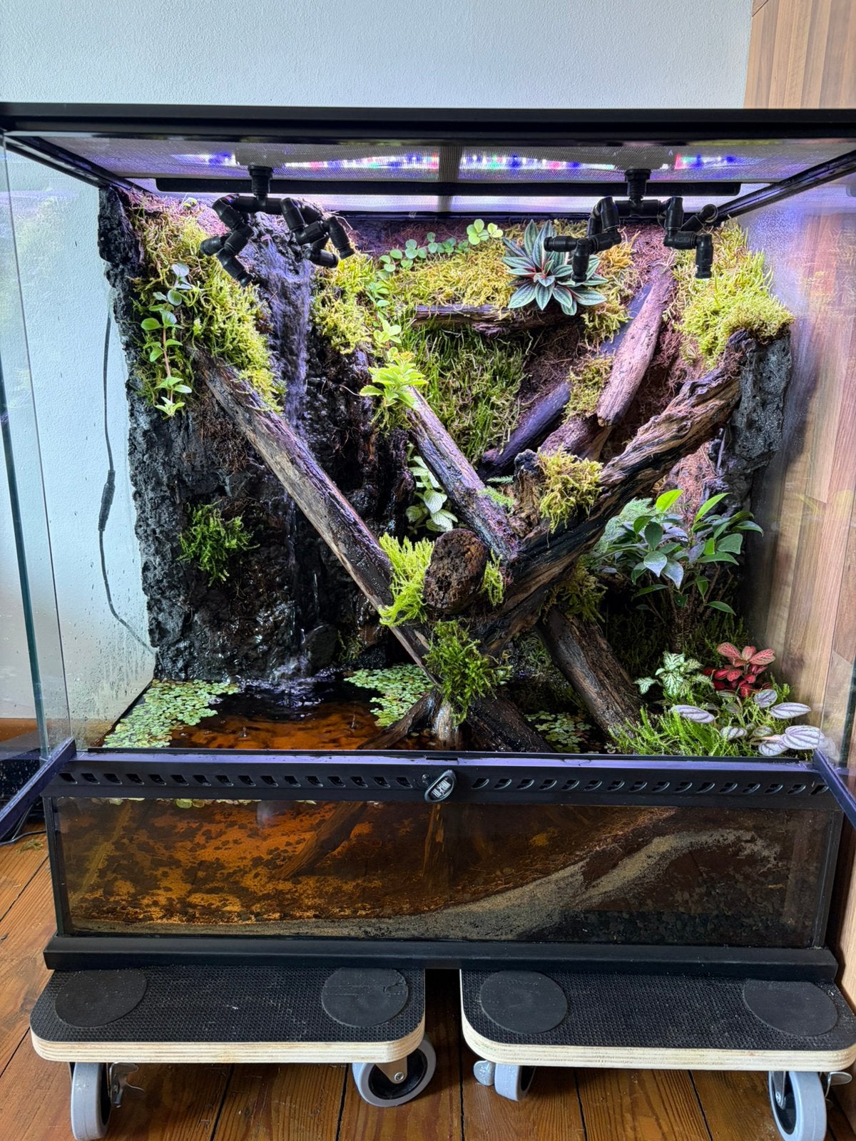 Exo terra paludarium 60X45X60, Ophalen, Gebruikt, Terrarium of Paludarium
