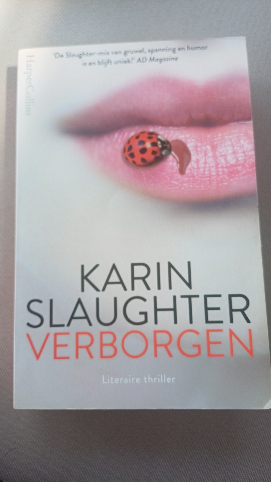 Karin Slaughter - Verborgen, Ophalen of Verzenden, Zo goed als nieuw, Karin Slaughter
