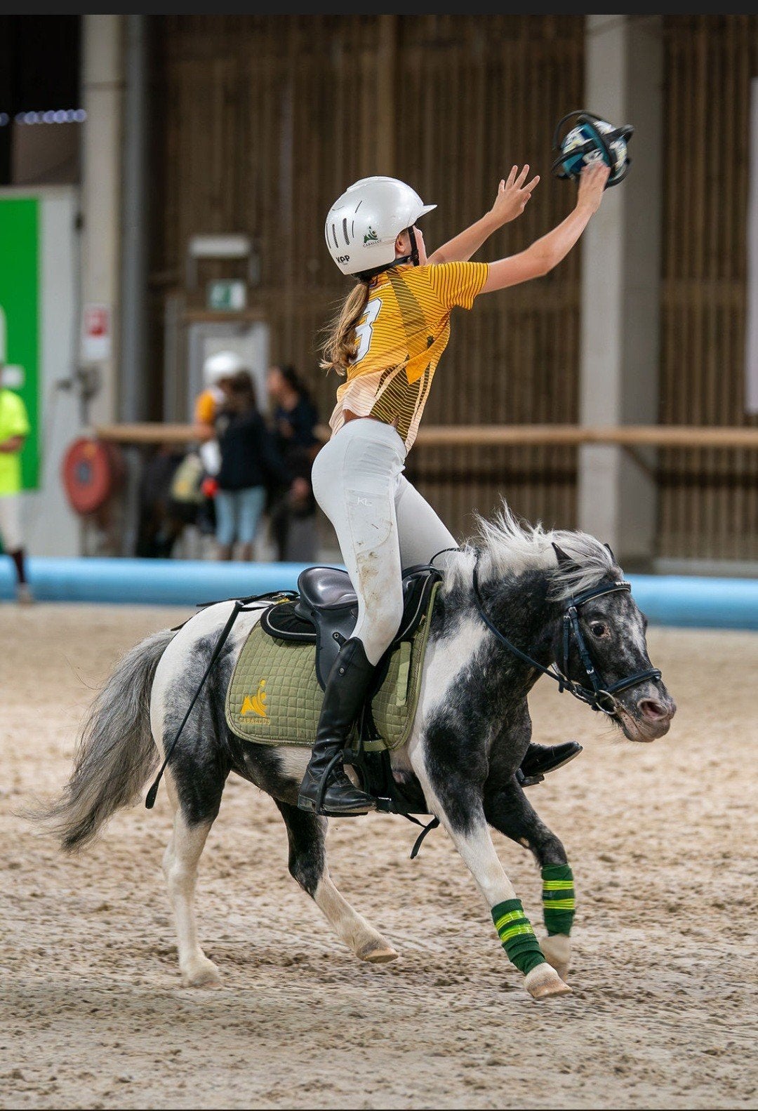 leuke merrie, 9 jaar voor horseball/ recreatie, Merrie, A pony (tot 1.17m), Gechipt, 7 tot 10 jaar