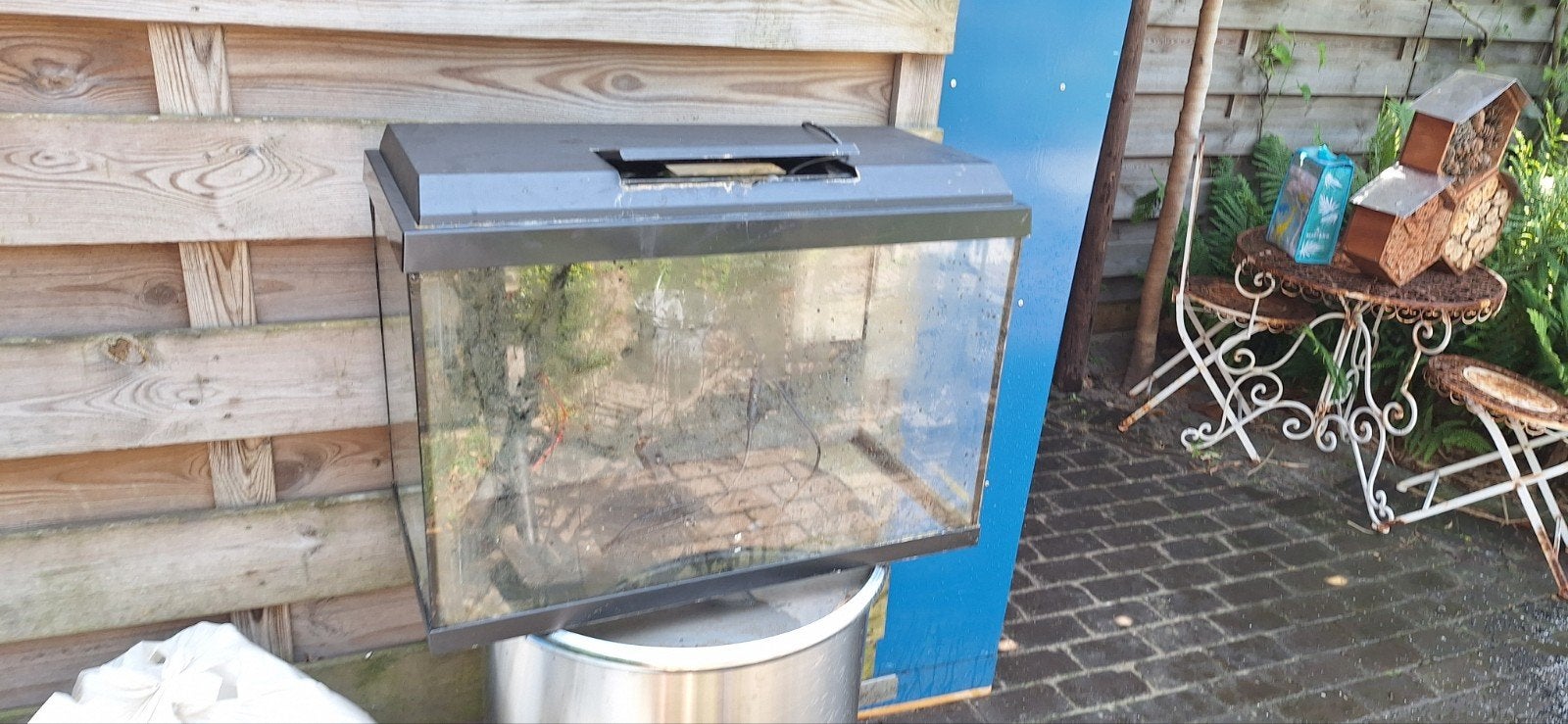Aquarium gratis, Enlèvement