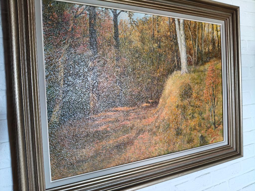 Herfstlandschap in olieverf - Marcel Ameel, Ophalen