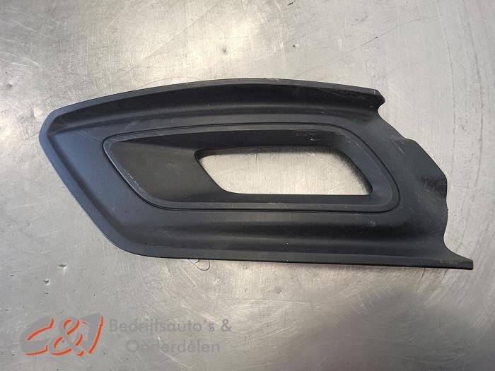 Afdekplaat mistlamp links van een Ford Transit Custom, Gebruikt, -, -, Ophalen of Verzenden