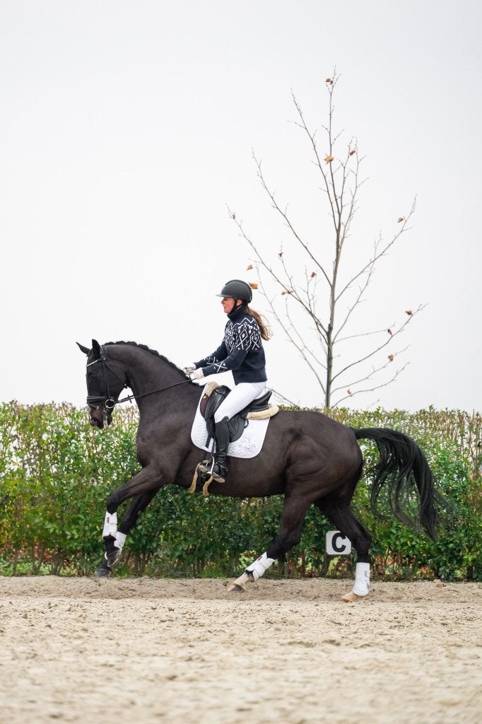 Elite merrie te koop, Cheval de dressage, Avec pedigree, 11 ans ou plus, 165 à 170 cm