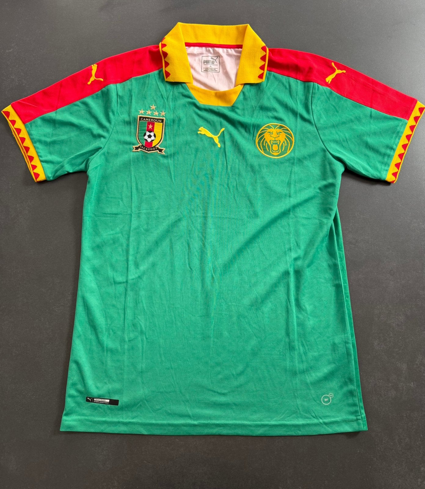 Kameroen voetbalshirt 2018 - Puma, Maat XL, Ophalen of Verzenden, Zo goed als nieuw, Shirt