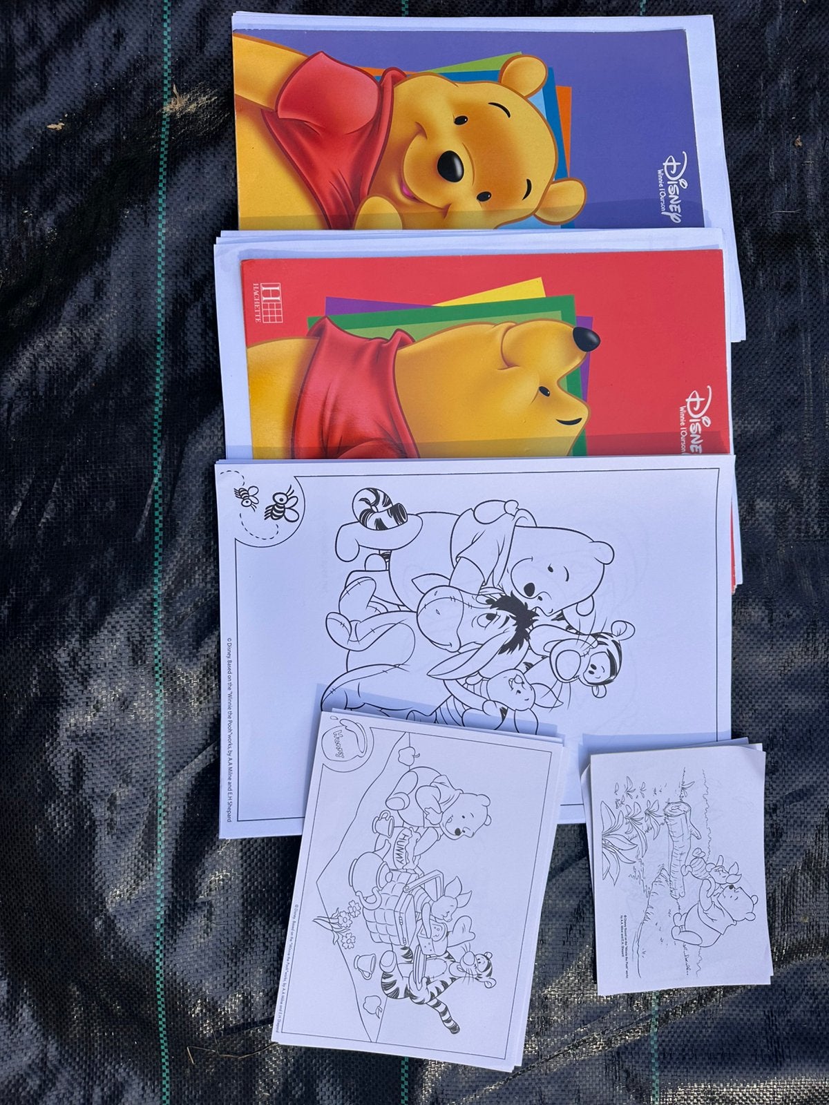 Coloriages Winnie l’ourson, Enlèvement ou Envoi, Utilisé, Disney