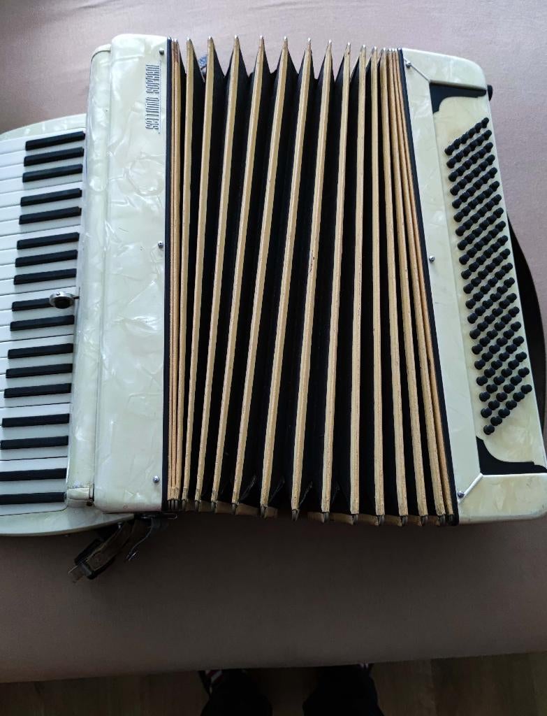 accordeon SENTIMIO, Musique & Instruments, Autres marques, Avec bretelles, Enlèvement, Utilisé