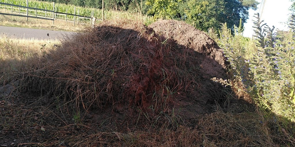 Zwarte zand, Ophalen