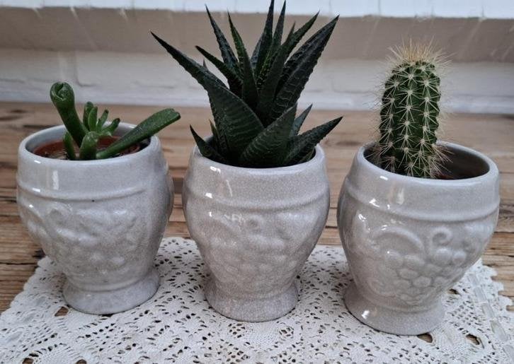 3 Beboterde bekers, druiven reliëf, leuk als bloempotjes, Ophalen of Verzenden