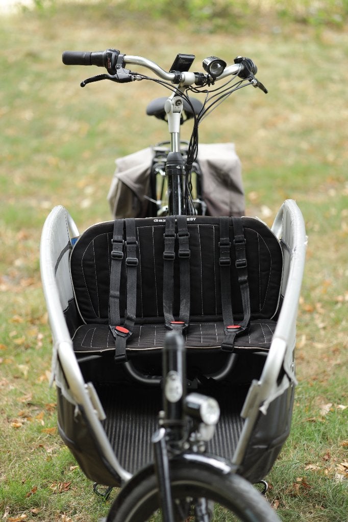 Elektrische XL bakfiets, met middenmotor, incl. 2 batterijen, Ophalen, Gebruikt, 3 kinderen, Elektrisch